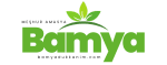 bamya dükkanım logo (3)
